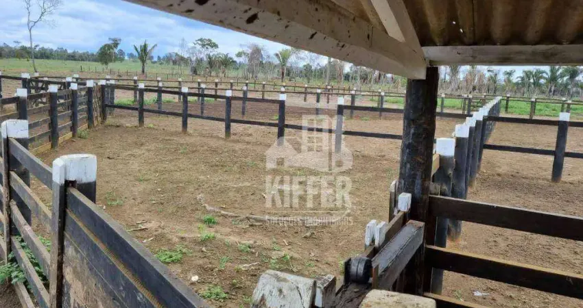 Fazenda à venda, 58080000 m² por R$ 62.000.000,00 - Zona Rural - Campos Altos/MG