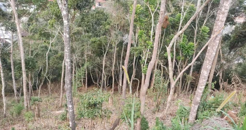 Terreno em Condomínio para Venda em Teresópolis, Panorama