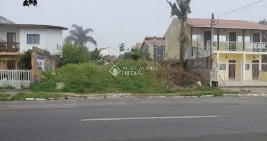 Terreno à venda na Avenida Professor Milton Leite da Costa, 177, Canasvieiras, Florianópolis