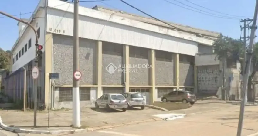 Barracão / Galpão / Depósito à venda na Tocantínia, 313, Vila Liviero, São Paulo