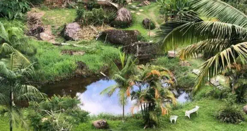 Fazenda à venda na Área Rural, 185, Área Rural de São Francisco Xavier, São José dos Campos