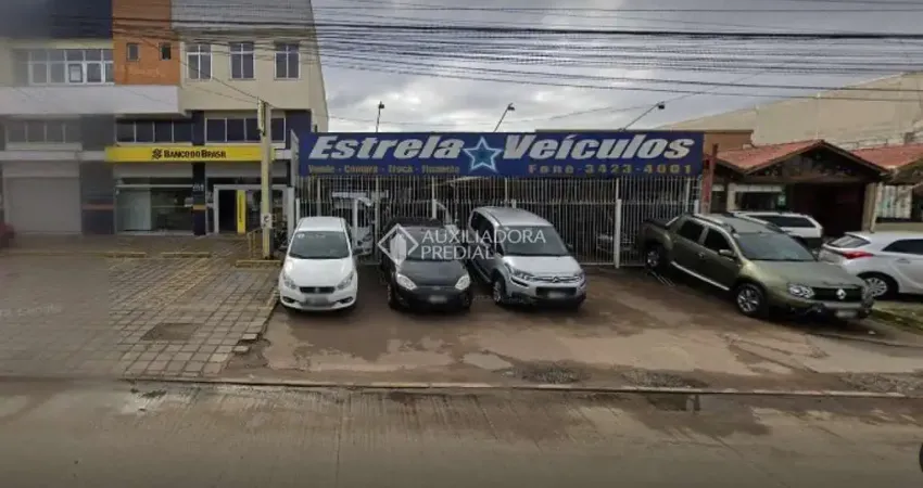 Terreno comercial à venda na Avenida Dorival Cândido Luz de Oliveira, 4915, COHAB A, Gravataí