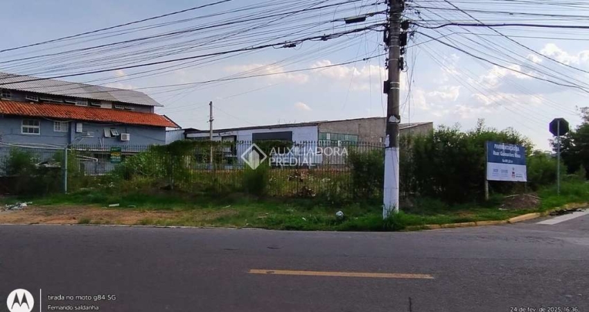 Terreno comercial à venda na Rua Otávio Schemes, 1102, Barnabé, Gravataí