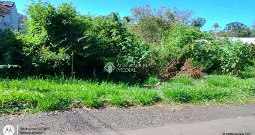 Terreno comercial à venda na Rua Aparício Soares da Cunha, 468, Vila Bom Princípio, Cachoeirinha