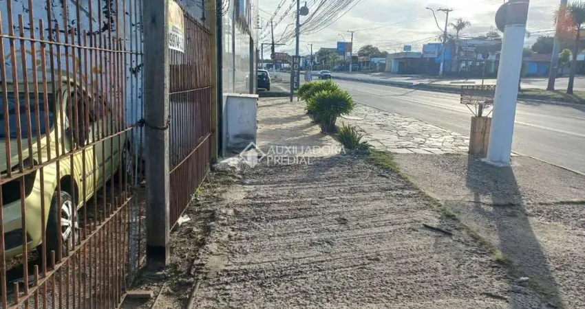 Terreno comercial à venda na Avenida Dorival Cândido Luz de Oliveira, 6518, São Vicente, Gravataí