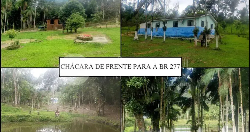 Chácara à venda com frente para a BR 277 em Paranaguá, Paranaguá