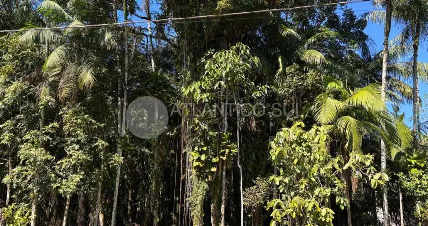 Terreno amplo em região arborizada à venda, ouro fino, paranagua - pr