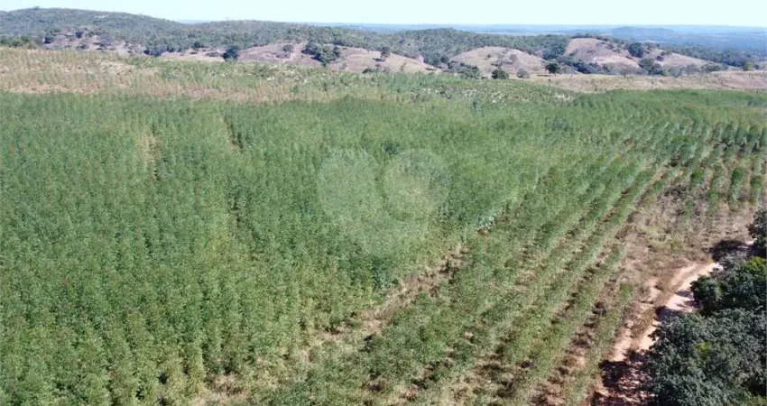 Chácara / sítio com 6 quartos à venda na Rua Barão do Rio Branco, Centro, Curvelo