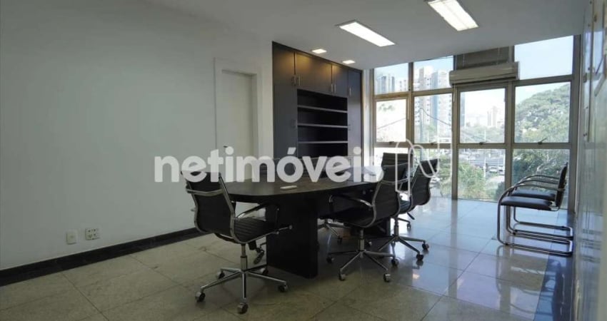 Terreno comercial para alugar no Barro Preto, Belo Horizonte 