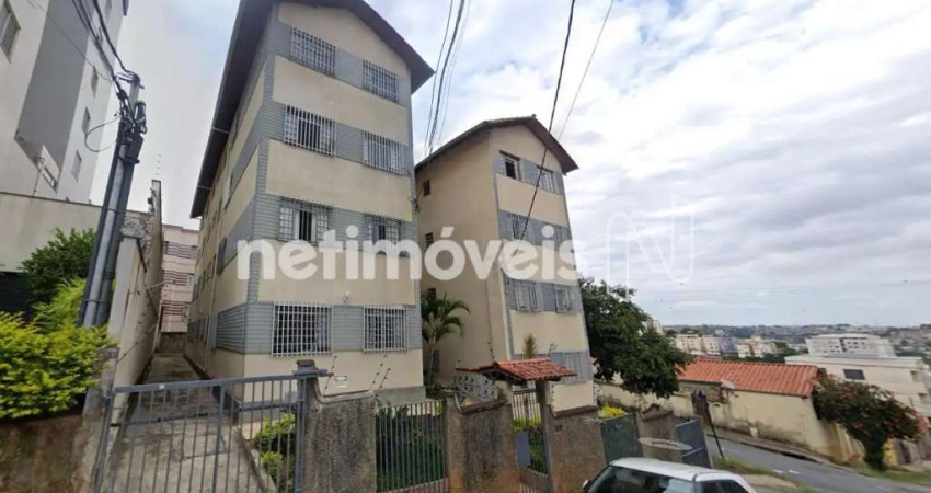 Apartamento com 3 quartos para alugar no Salgado Filho, Belo Horizonte 