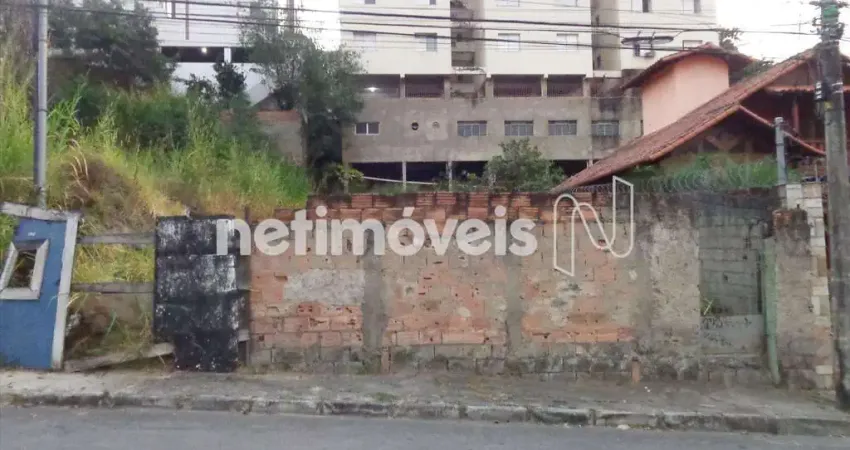 Terreno à venda na Rua Amaro Ribeiro Coelho, Alto Caiçaras, Belo Horizonte