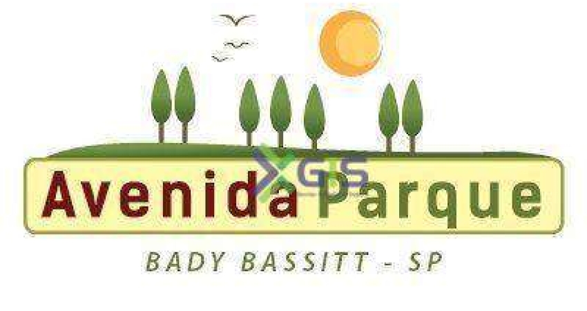 Terreno à venda, 215 m² por R$ 65.000 - Avenida Parque - Bady Bassitt/SP