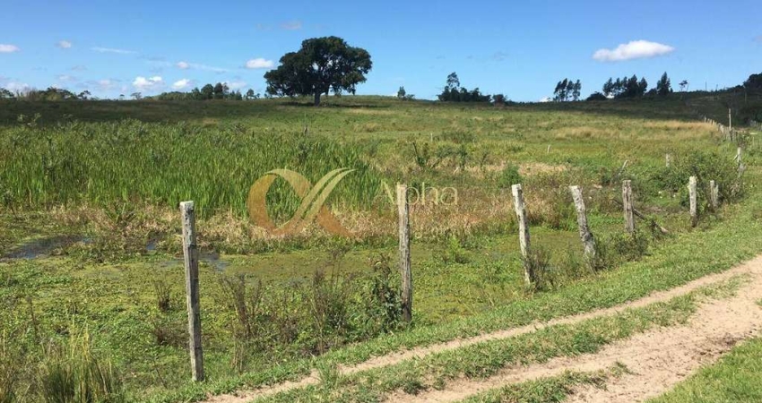 Fazenda à venda em São Vicente de Paula, Araruama 