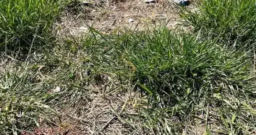 Terreno à venda no Esplanada Primo Meneghetti II, Franca