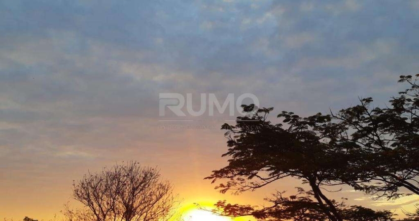 Chácara / sítio com 5 quartos à venda na Estrada Sousas-Pedreira, 01, Sousas, Campinas