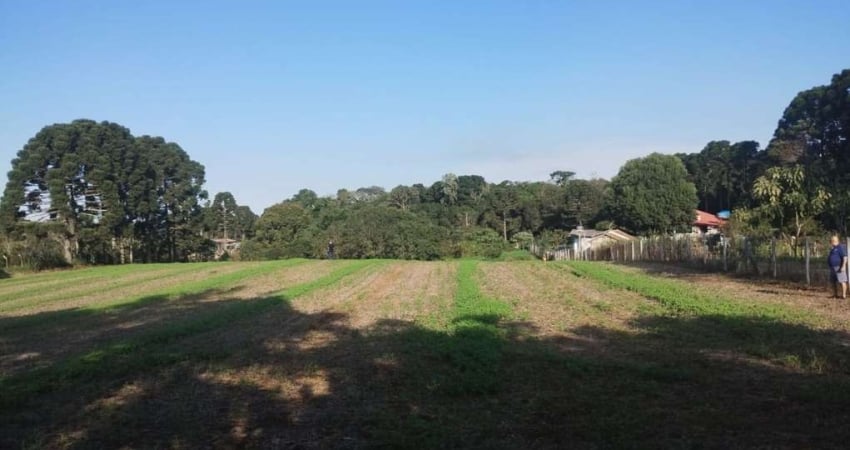 Chácara de terra fértil a venda na Área Rural de São José dos Pinhais