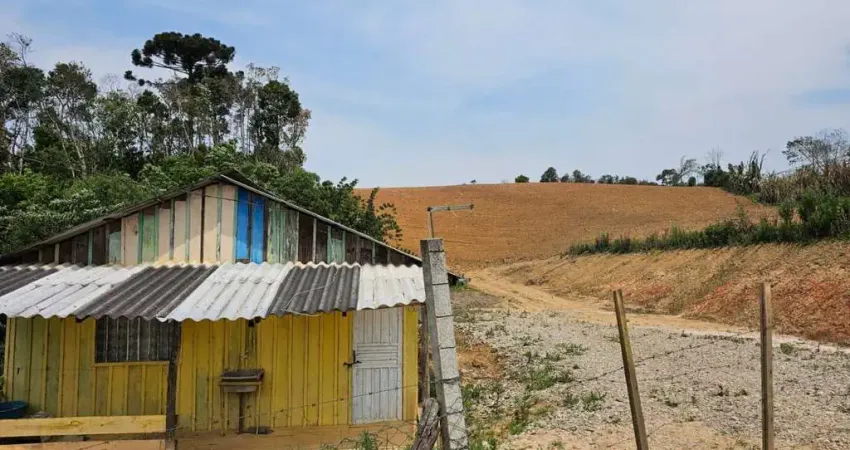 Chácara à venda, 4 m² por R$ 279.900,00 - Faxina - São José dos Pinhais/PR