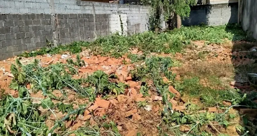 Aqui tem ao menos 3 ideias de construção neste terreno plano.