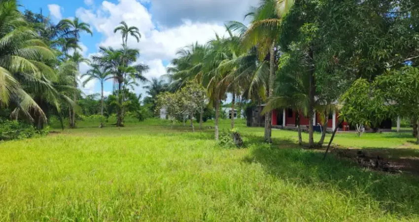 LINDO SITIO COM 400 MIL METROS QUADRADOS NA BEIRA DA ESTRADA  OPORTUNIDADE DE UM BOM INVESTIMENTO
