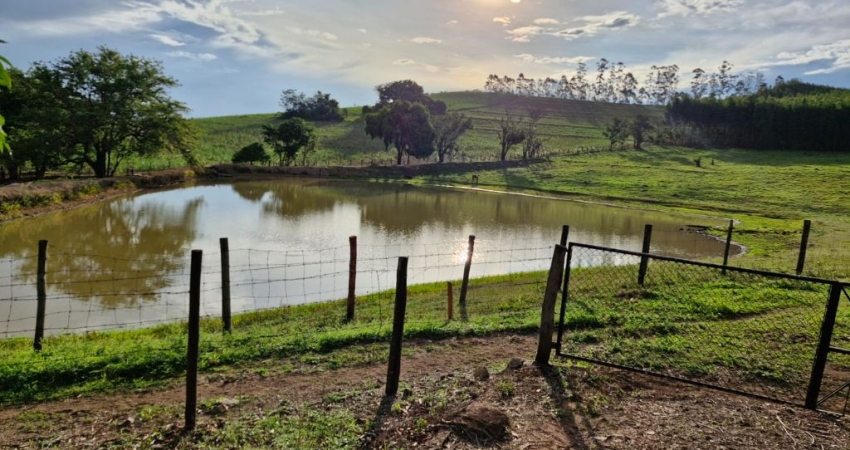 Sitio com 4,5 alq. a 800m da Rod. Cornélio Pires - Bairrinho, Saltinho SP