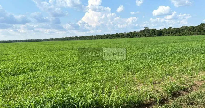 Fazenda à venda em nova lacerda-mt: 3 quartos, 1 suíte, 3 salas, 4 banheiros, 15.900 hectares de área rural. aproveite!