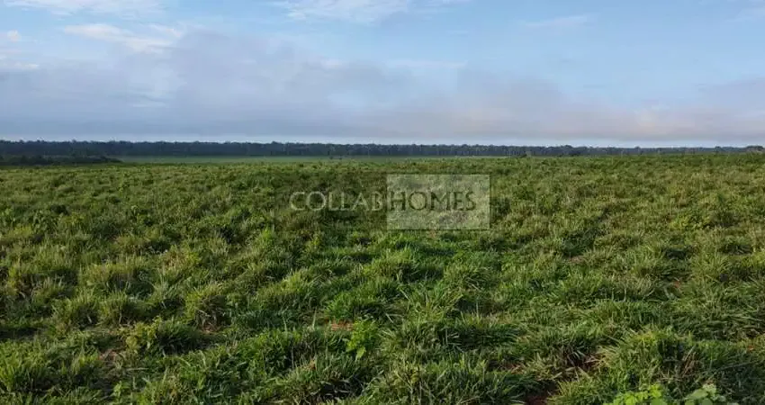 Fazenda à venda em marcelândia-mt: 3 quartos, suíte, banheiro e 10.312 hectares na zona rural. aproveite!