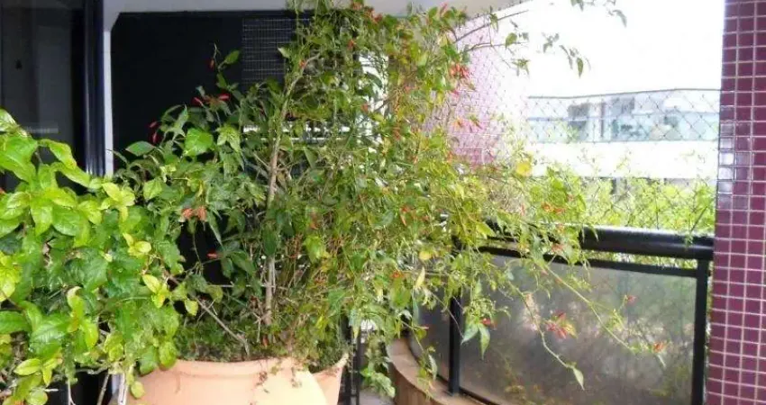 Cobertura com 4 quartos à venda na Rua Professor Alexandre Correia, Morumbi, São Paulo