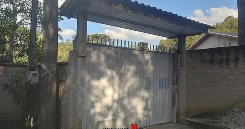 Chácara / sítio com 4 quartos à venda na Estrrada Principal, Contenda, São José dos Pinhais