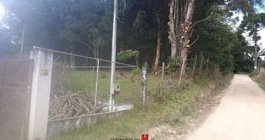Chácara / sítio com 3 quartos à venda na Rua Nicolau Braholka, Colônia Malhada, São José dos Pinhais
