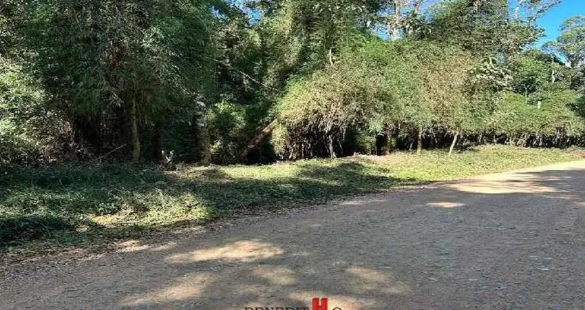 Chácara / sítio com 1 quarto à venda na Estrada Principal, Campestre da Faxina, São José dos Pinhais