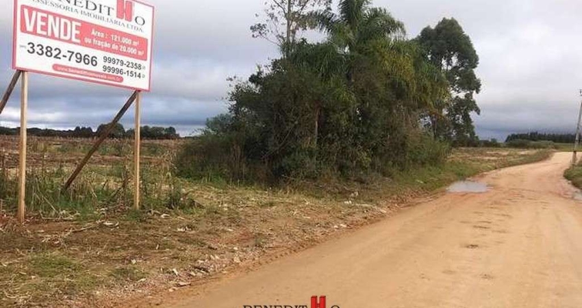 Terreno à venda na Rua Domingos Benvenute Moletta, Campo Largo da Roseira, São José dos Pinhais