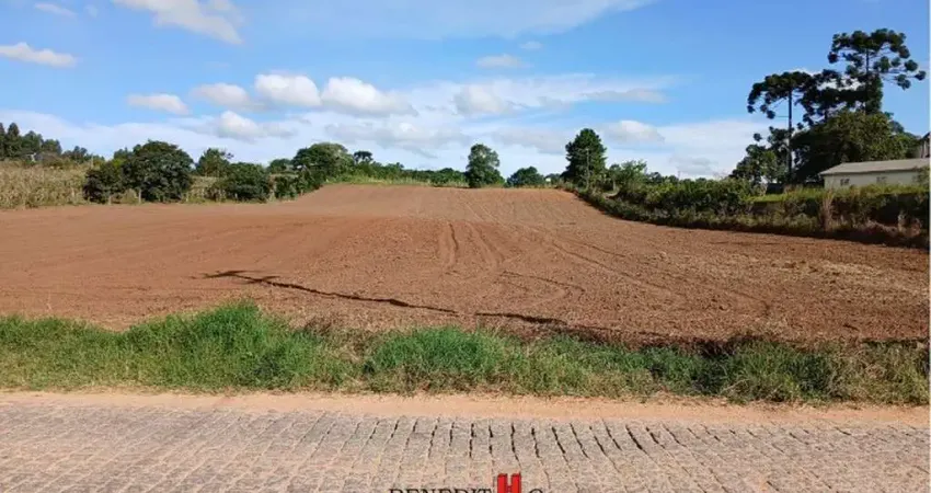 Terreno à venda na Rua José Francisco Negoseki, Colônia Zacarias, São José dos Pinhais
