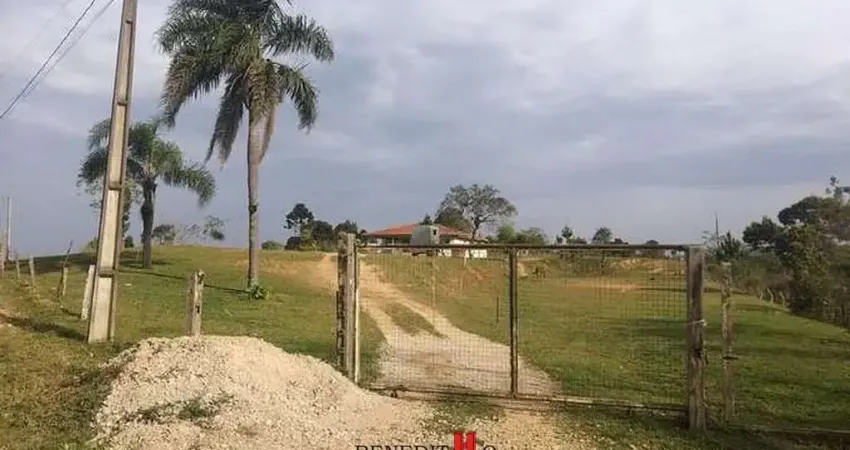 Chácara / sítio com 4 quartos à venda na Rua João Kusma, Campestre da Faxina, São José dos Pinhais