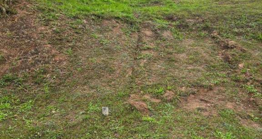 Terreno à venda, 750 m² por R$ 1.750.000 - Paiol Velho - Santana de Parnaíba/SP