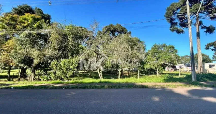 3 lotes/terrenos somando uma área total de 1.080 m² - vila santa maria, piraquara/pr