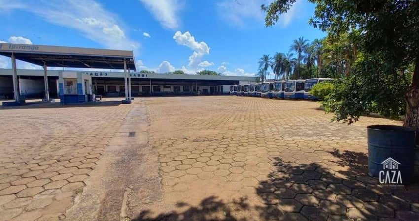 Galpão à venda, 2279 m² por R$ 3.800.000,00 - Clementina - Barretos/SP