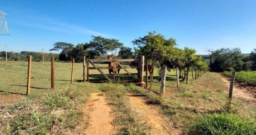 Chácara / sítio à venda na Área Rural de Barretos, Barretos 