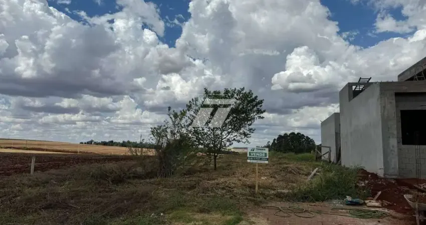 COLINA DOURADA