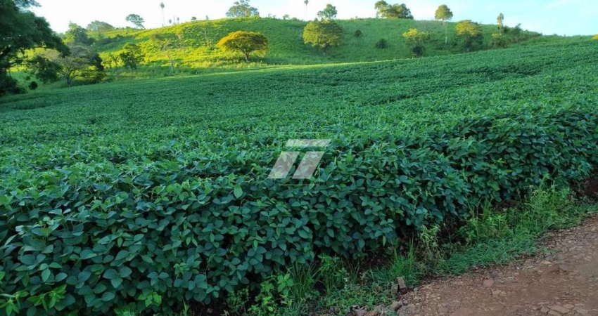 Fazenda - Três Barras do Paraná
