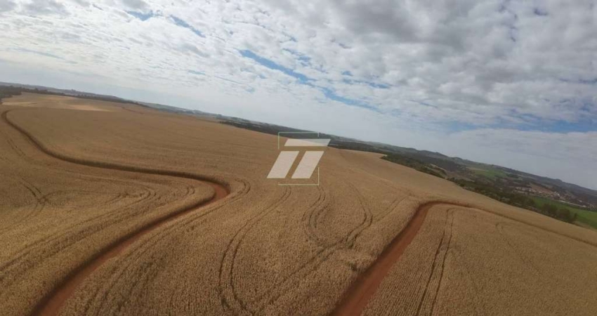 Fazenda de 690 alqueires aptdão Lavoura - 01h de Cascavel