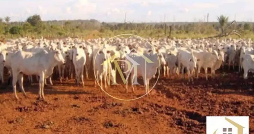 Terreno à venda na Zona Rural, Castanheira 