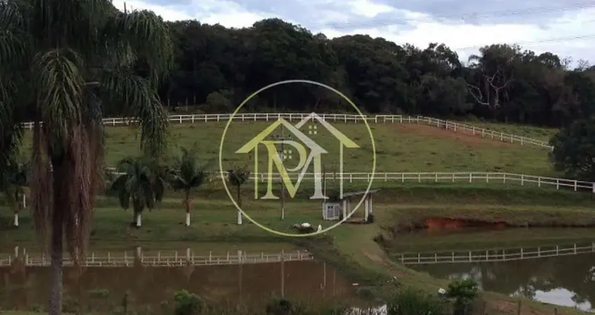 Chácara / sítio com 4 quartos à venda na Vila São João, Piedade 