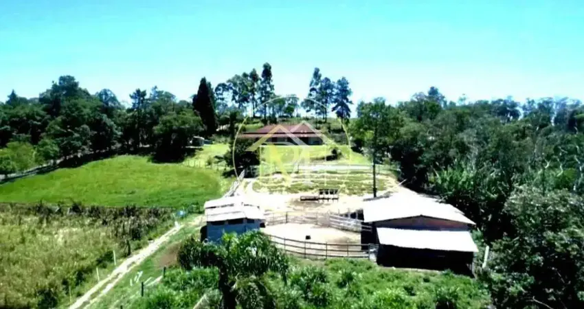 Chácara / sítio com 6 quartos à venda em Santa Ifigênia, São Paulo 