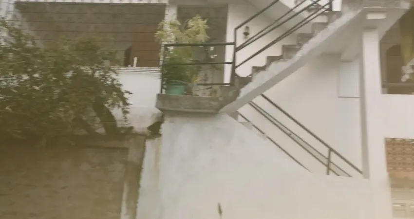 Oportunidade única! belissima casa na rua da ilha 3 quartos.