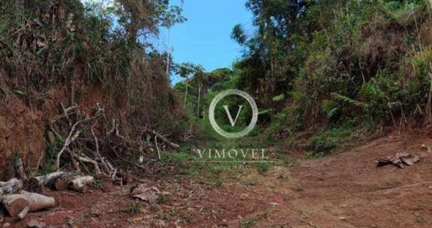 Terreno à venda, 383 m² por R$ 100.000,00 - Centro - Nova Friburgo/RJ