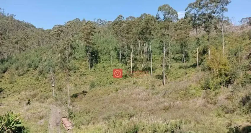 Excelente Área em Amparo ao lado do Hotel Fazenda Auberge Suisse