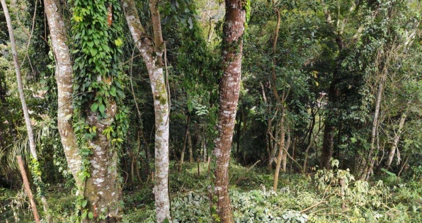Terreno à venda no Parque Imperial
