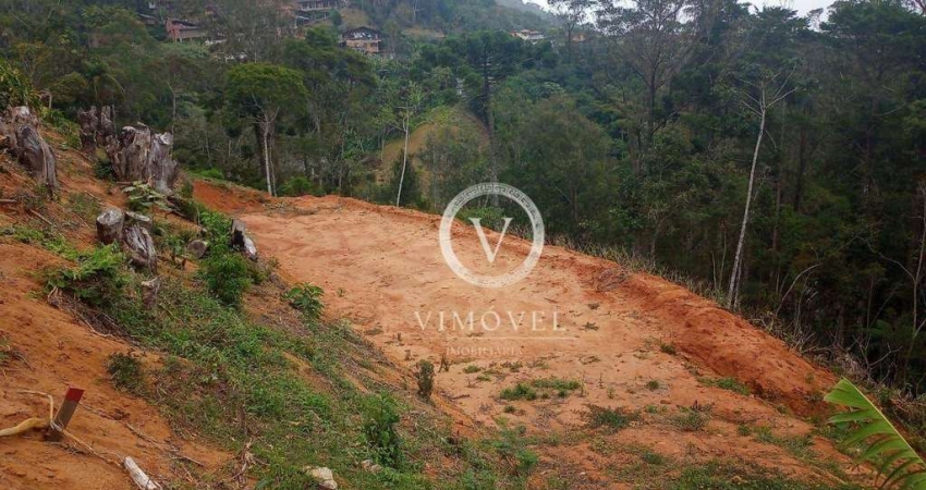 Terreno à venda, 10000 m² por R$ 160.000,00 - Mury - Nova Friburgo/RJ
