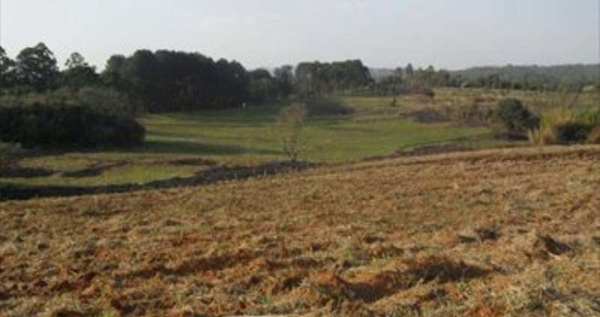 TERRENO RESIDENCIAL À VENDA, CAUCAIA DO ALTO, COTIA - TE0141.