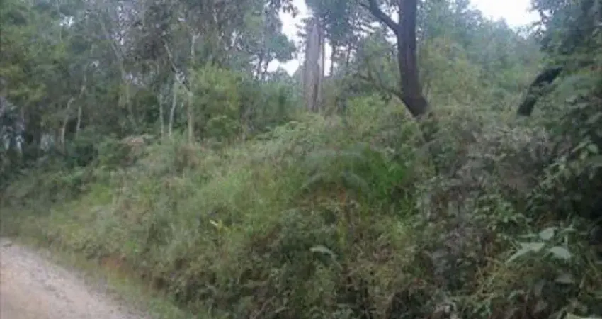 Terreno residencial à venda, caucaia do alto, cotia - te0047.